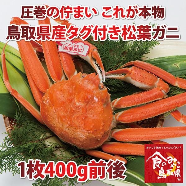 ^OttKj(䥂)TCY1600gO