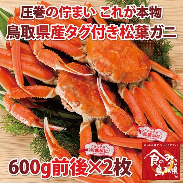 ^OttKj(䥂) TCY21.2kgO