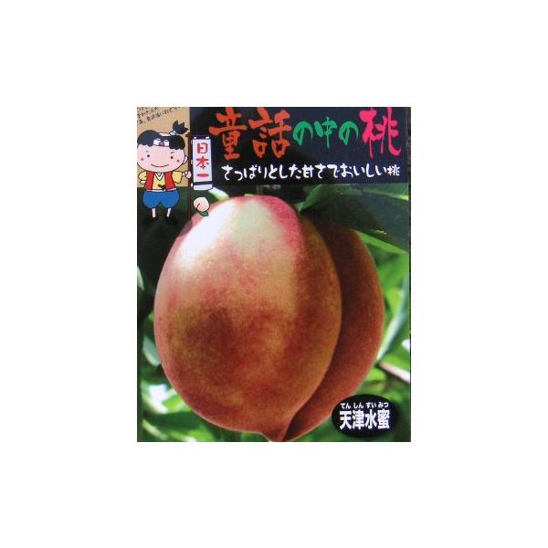 天津水蜜桃 （桃）：果樹苗 桃の苗木 苗 テンシンスイミツモモ : 日本