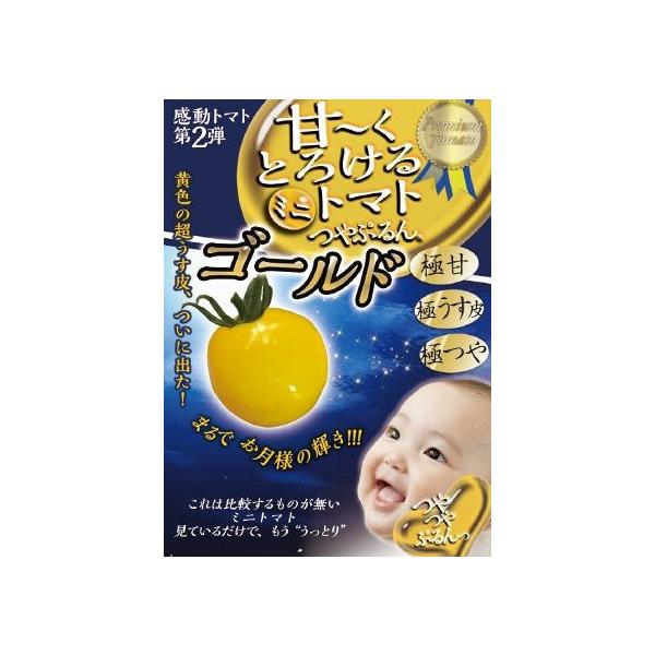 みにとまと nihonkaki_z-1083272