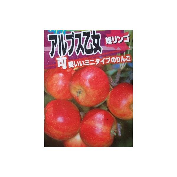 【6寸鉢植え】　アルプス乙女りんご（乙女リンゴ、姫りんご）：果樹苗