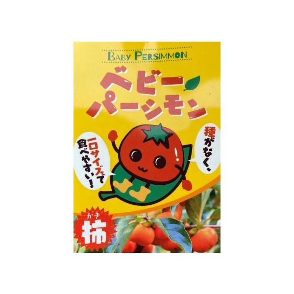 柿　苗木　ベビーパーシモン　さど乙女規格：４号ポット植え、接ぎ木1年生苗、樹高：60〜80cm程度ベビーパーシモン：新潟県佐渡島の農家で発見された平核無(ひらたねなし)柿の枝変わり品種です。地域では突核無（とつなてなし）柿と呼ばれています。...