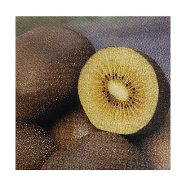 キウイ　クリーミー三鷹　規格：４寸ポット植え接ぎ木1年生苗、樹高：80cm程度キウイフルーツ：クリーミー三鷹　（メス木）は、東京都三鷹市が原産の甘くてクリーミーなキウイフルーツです。酸味が少なく、なめらかな舌触りが特徴で、果肉は黄色がかって...