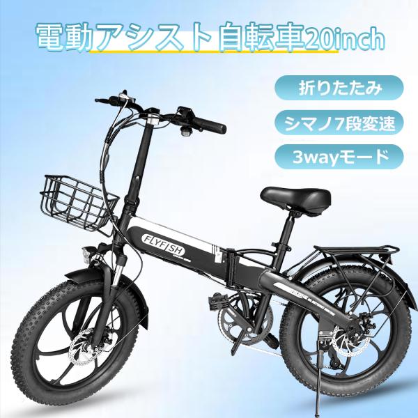 nihonkoueki_flyfish-350w-x20