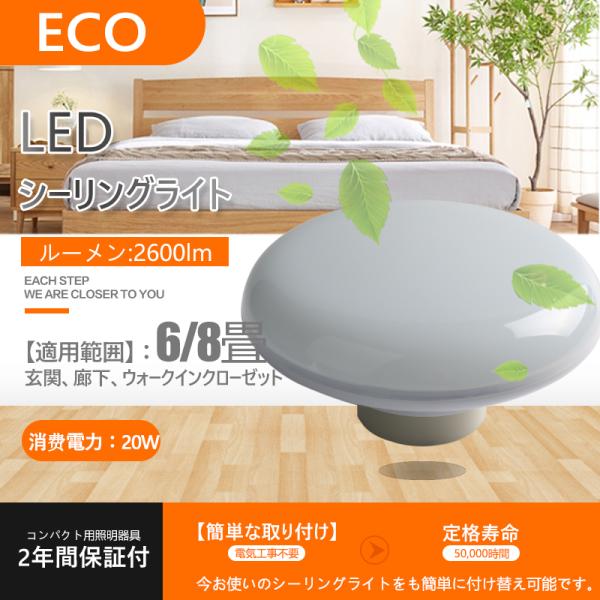 nihonkoueki_ten-ledcl-20w-n