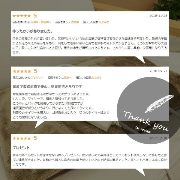 送料無料 ホットパックa 遠赤外線セラミックシート さらさらふわふわカバー付き 温度調節機能 防水カバー 日本製 メーカー直販 Buyee Buyee 日本の通販商品 オークションの代理入札 代理購入