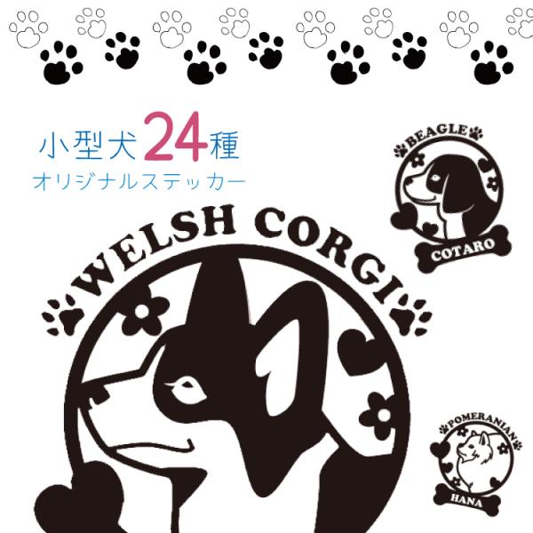 ステッカー 24犬種 名入れステッカー(カラー10種類)チワワ トイプードル ダックスフンド ポメラニアン シーズー パグ ヨークシャーテリア メール便送料無料 -200