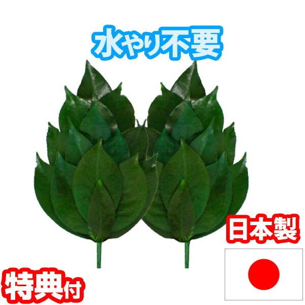 vU[uh SVTCY FS-003SV sv ʃ^Cv OgY ֗t  _lI  TJL vU[uhH  ~jTCY Y _Ip