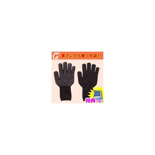  h Y fB[X t[TCY h oCN ʋ ʊw ~ O[u ] ނ AEghA