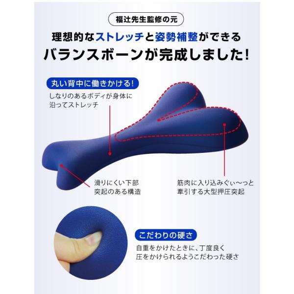 首から背中のバランスボーン 整体師 福辻鋭記先生監修 ショートポール スマホ首 巻き肩 ストレッチ ヨガポール エクササイズポール ストレッチ用ポール Buyee Buyee 日本の通販商品 オークションの代理入札 代理購入