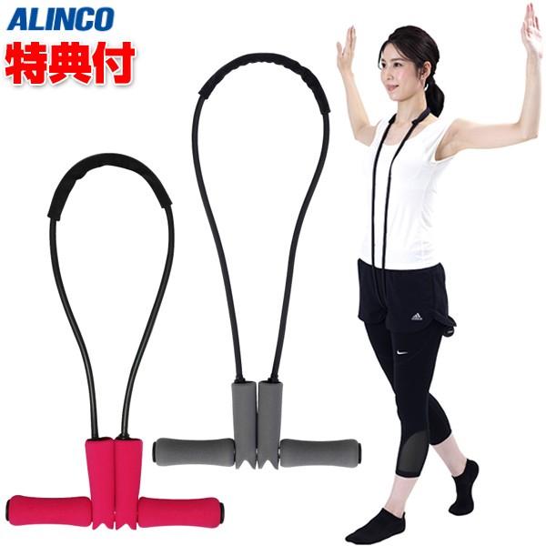 ACR ؎ p`[u EXG161P / EXG161H pEH[LO ALINCO GNTTCY`[u ؎p`[u tBbglX