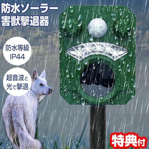 猪突猛進　ハルヒ　rr　新裁断　4枚セット 猪突猛進 ハルヒ rr 新裁断 4枚セット 猪突猛進 ハルヒ RR 4枚