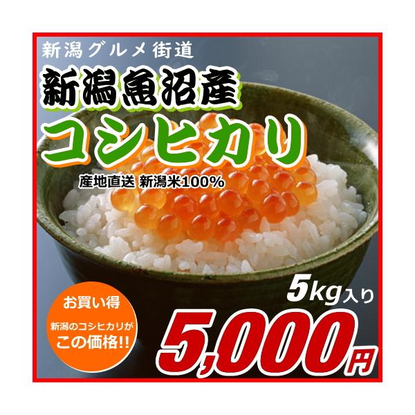 コシヒカリ 魚沼産 5000円分(5キロ) 新潟米 お米 新潟産 産地 コシヒカリ 魚沼産 5000円分(5キロ) 新潟米 お米 新潟産 産地