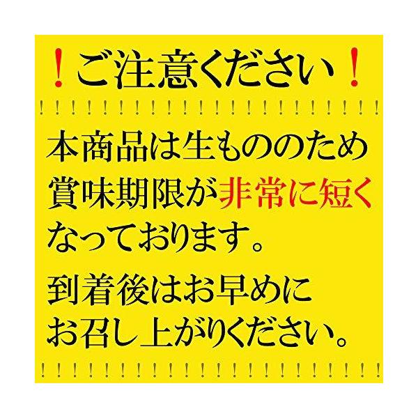 紅白まんじゅう 1箱 直径6cm 紅白饅頭 ギフト 名入れ Buyee 日本代购平台 产品购物网站大全 Buyee一站式代购 Bot Online