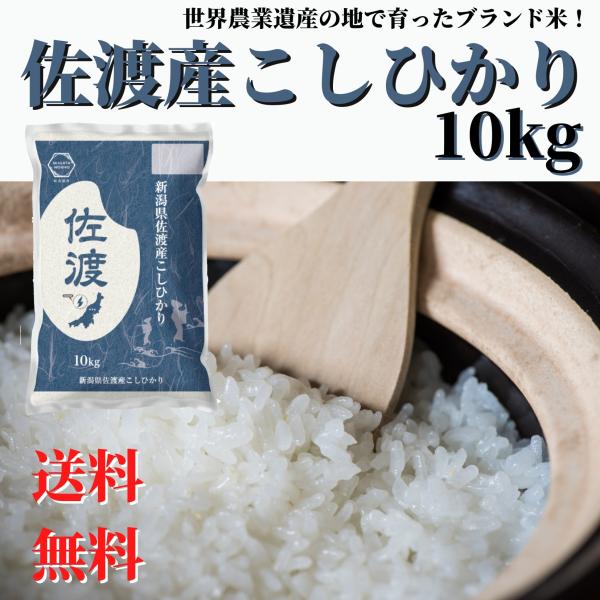 新潟県産佐渡コシヒカリ白米10kg