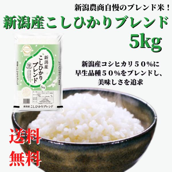 コシヒカリ 米 令和6年産 お米 5kg 白米 送料無料 安い お手頃 コシヒカリ 米 令和6年産 お米 5kg 白米 送料無料 安い お手頃