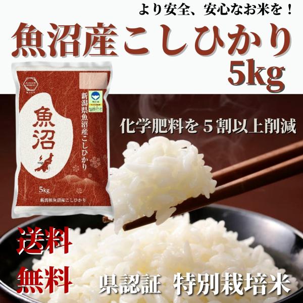 魚沼産 コシヒカリ 5kgの人気商品 通販 価格比較 価格 Com