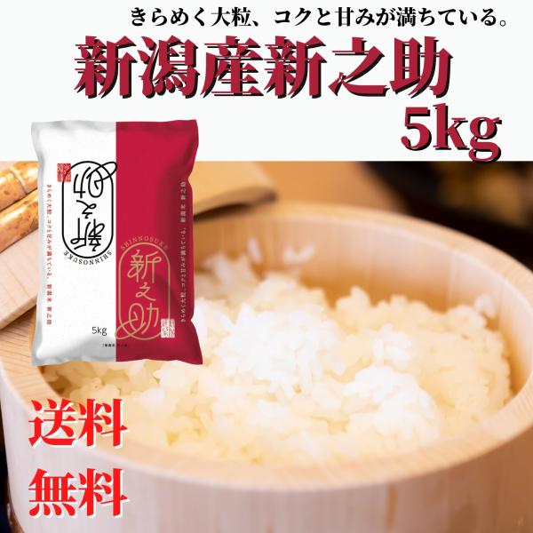 新之助 新米 令和6年産 米 お米 新潟県産 5kg 精米 送料無料
