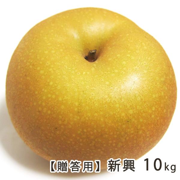 [Release date: October 28, 2025]果樹栽培で有名な白根地域、中でも知る人ぞ知るヤマヨ果樹園（Le Verger Yamayo）の毎年大好評、日本梨！各品種を旬の時期に味わえます！果樹栽培で有名な新潟県白根地域。...