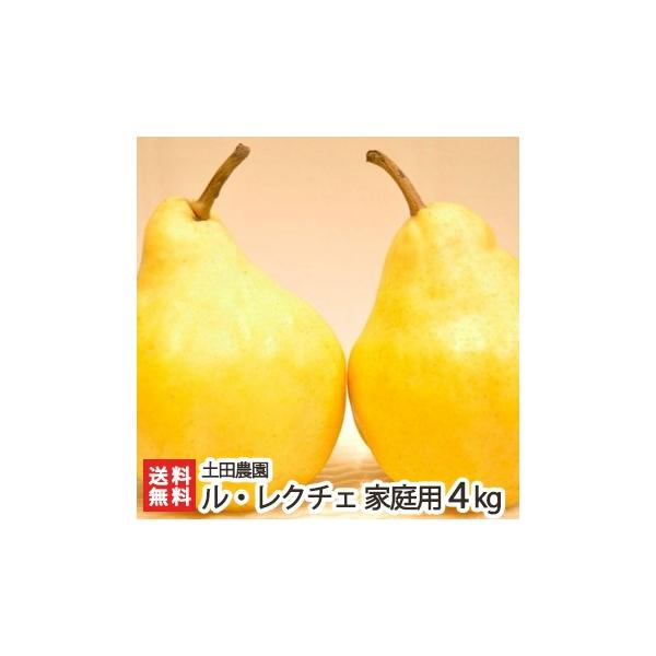 ƒp VYEN`F4kgi8`12j yc_ 󂠂艿i ̗mN`F/