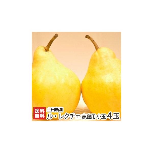 ƒp VYEN`F4i1kgj yc_ 󂠂艿i ̗mN`F/