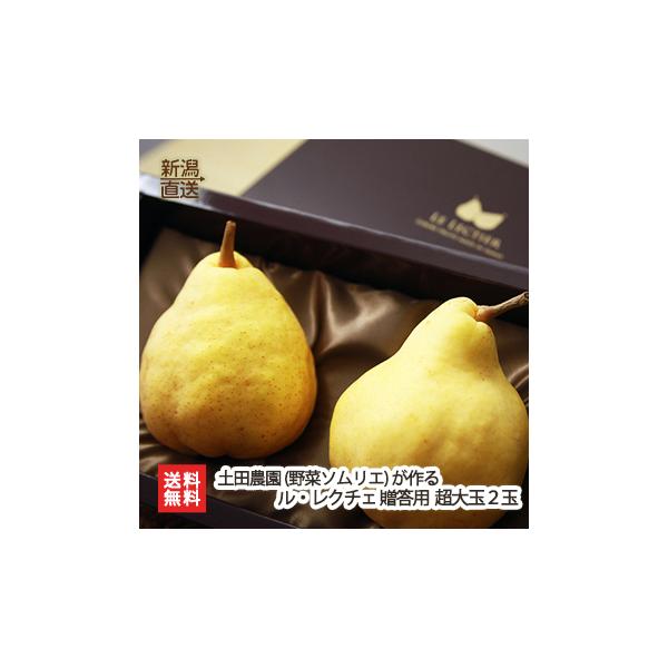 p VYEN`F ʃTCY2ʁi1ʂ650g`j yc_ ̗mN`F/MtgɂI/̂/