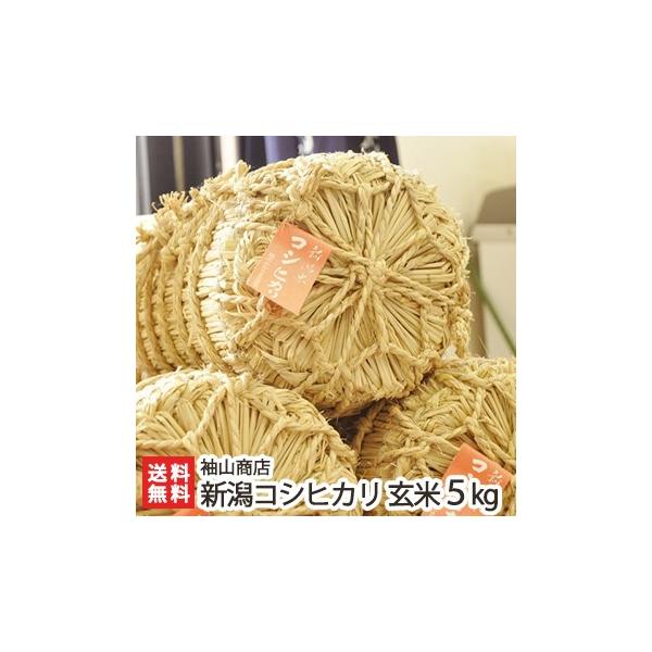 yߘa7NxVāz_Ew엿 VYRVqJ 5kg RX/ĉ̑o/MtgɂI/̂/