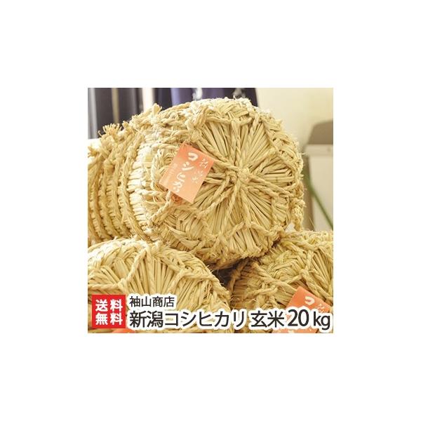 yߘa7NxVāz_Ew엿 VYRVqJ 20kgi10kg×2jRX/ĉ̑o/MtgɂI/̂/