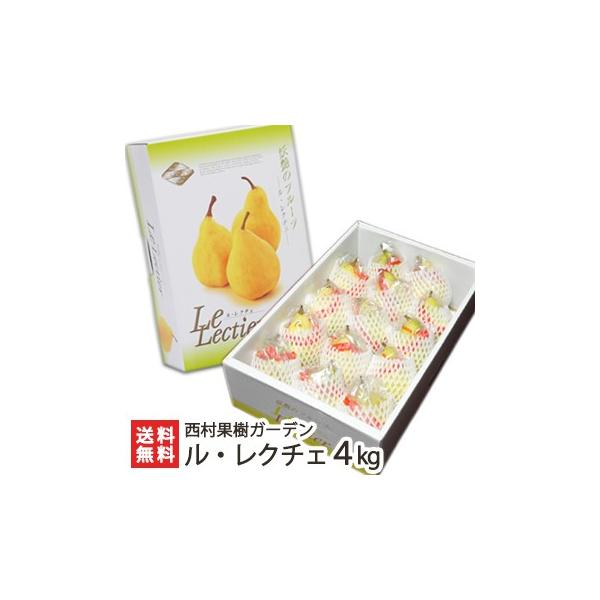 VY EN`F 4kgi10`14ʁj/ʎK[f  ̗mN`F/MtgɂI/̂/