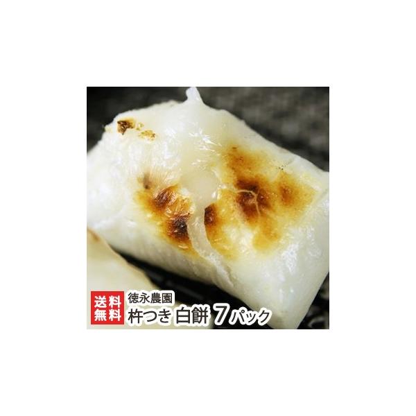 VY˂̋n 7pbNi1pbN8؂j i_ p/Y/MtgɂI/̂/