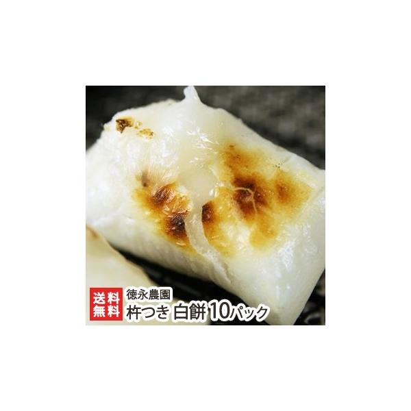 VY˂̋n 10pbNi1pbN8؂j i_ p/Y/MtgɂI/̂/