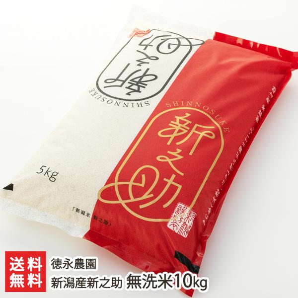 新之助（しんのすけ） 【令和7年度米】新潟産新之助 無洗米10kg（5kg×2
