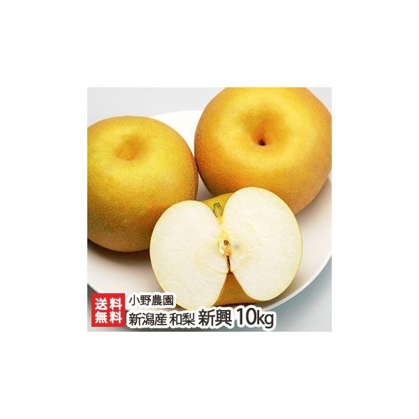 VY { V10kgi14`20ʁj _/MtgɂI/̂/