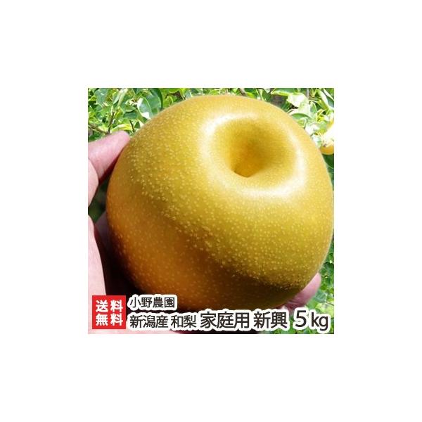 󂠂 VY { ƒp V5kgi7`14ʁj _/