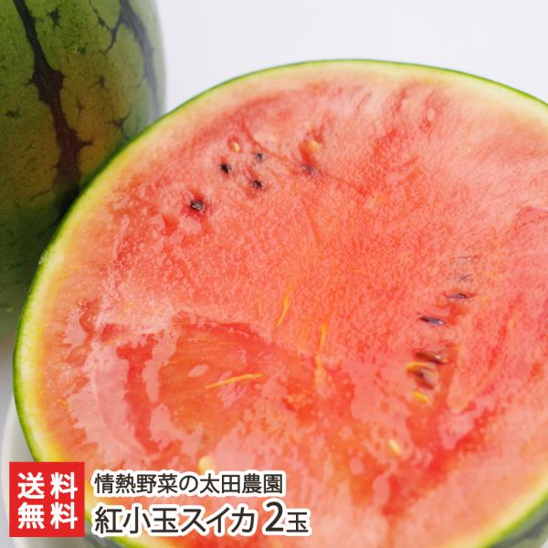 新潟県特別栽培認証 紅小玉スイカ 2玉 太田農園 新潟産 特別栽培認 西瓜 すいか お歳暮に のし無料 送料無料 Buyee Buyee 提供一站式最全面最專業現地yahoo Japan拍賣代bid代拍代購服務 Bot Online