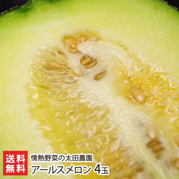 新潟県産 アールスメロン 4玉 太田農園 新潟産 マスクメロン 高級メロン 新潟産 特別栽培認証 送料無料 Buyee Buyee Japanese Proxy Service Buy From Japan Bot Online