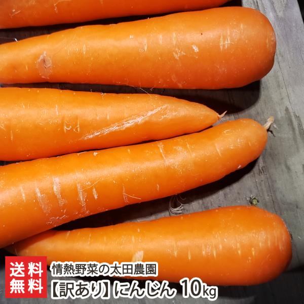 新潟市西区の太田農園から「にんじん」をご紹介。夏にスイカを育てた後の栄養価の高い土壌で栽培しているため、甘みの強いにんじんに仕上がります。肌ツヤが良く、丸々と太ったきれいな形も自慢！新潟市西区の砂丘地で、さまざまな農産物を育てている「情熱野...