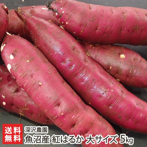 [Release date: December 28, 2025]低温熟成でとっても甘〜くなった魚沼産のさつまいも「紅はるか」！糖質の中でも麦芽糖の比率が高いので強い甘さとすっきりとした後味で人気を得ています。最近の甘いさつまいもに多いねっ...