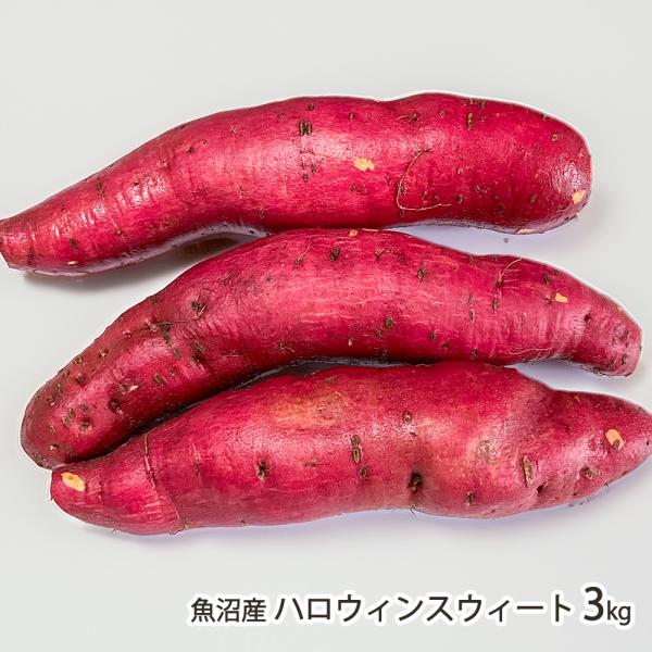 低温熟成でとっても甘〜くなった魚沼産のさつまいも「ハロウィンスウィート」！まるでハロウィンのかぼちゃのような、鮮やかなオレンジ色の果肉が特徴のさつまいも。一般的なさつまいもより、βカロテンが豊富に含まれているとされています。なめらかな舌触り...