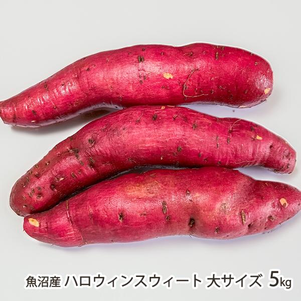 低温熟成でとっても甘〜くなった魚沼産のさつまいも「ハロウィンスウィート」！まるでハロウィンのかぼちゃのような、鮮やかなオレンジ色の果肉が特徴のさつまいも。一般的なさつまいもより、βカロテンが豊富に含まれているとされています。なめらかな舌触り...