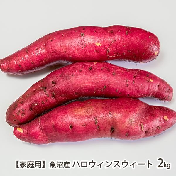 低温熟成でとっても甘〜くなった魚沼産のさつまいも「ハロウィンスウィート」！まるでハロウィンのかぼちゃのような、鮮やかなオレンジ色の果肉が特徴のさつまいも。一般的なさつまいもより、βカロテンが豊富に含まれているとされています。なめらかな舌触り...