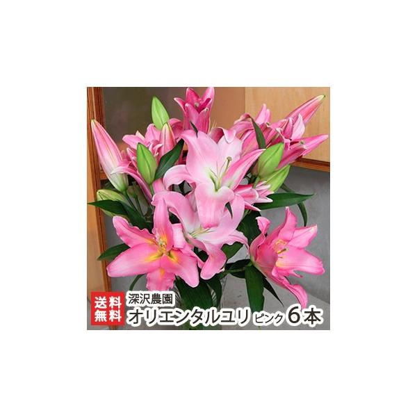 ユリ 切り花の人気商品・通販・価格比較 - 価格.com