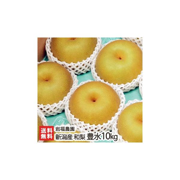 豊水 10kg」の人気商品一覧・価格比較 - 価格.com