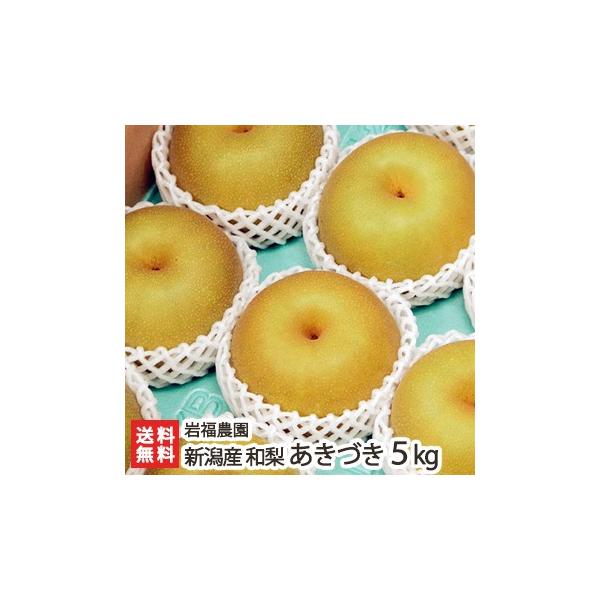 新潟県産 日本梨 あきづき5kg（7〜12個位） 岩福農園/送料無料