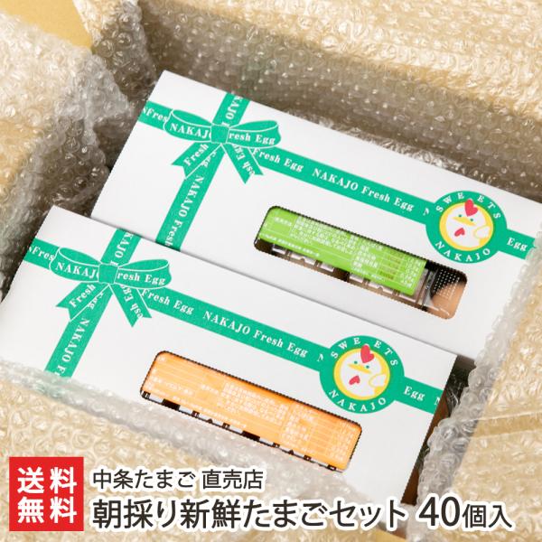 ̂VN܂Zbg40iVĝ߂̗t_܂×20Ez̃r^~܂×20j/܂ X/㕥ϕs/