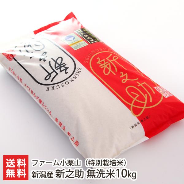 令和4年度米 新潟産 新之助（特別栽培米）無洗米10kg（5kg×2）/ファーム小栗山/送料無料