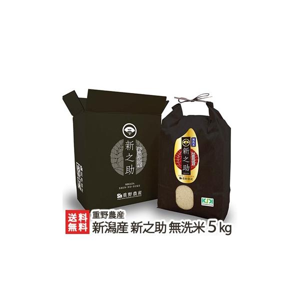 新之助 無洗米 5kg ✖️２ 新潟県産 81h6WF6FvsL._AC_UF350,