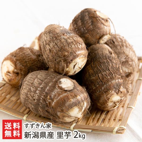 [Release date: November 27, 2025]土壌づくりにこだわる「すずきん家」が育てた、きめ細かでねっとり食感の里芋。煮っ転がしやコロッケなど、さまざまな料理で大活躍します！直前に水洗いしてから発送するため、贈り物にも...