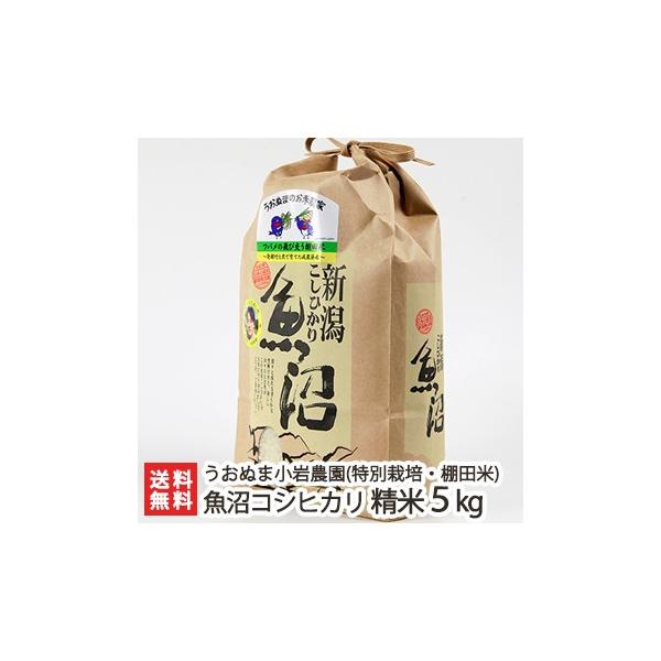 yߘa7NxVāzʍ͔|āi_Ew엿jY RVqJ 5kg Ђʂ܏_/MtgɂI/̂/