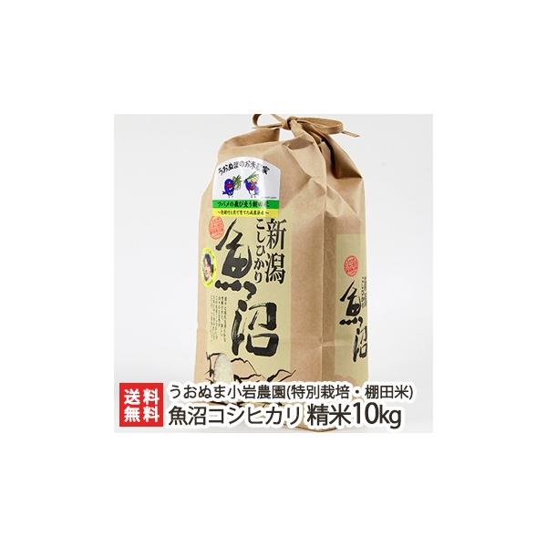 yߘa7NxVāzʍ͔|āi_Ew엿jY RVqJ 10kg Ђʂ܏_/MtgɂI/̂/